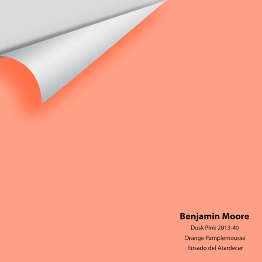 Big Paint Chip - Dusk Pink 2013-40