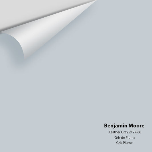 Benjamin Moore - Feather Gray 2127-60 Colour Sample