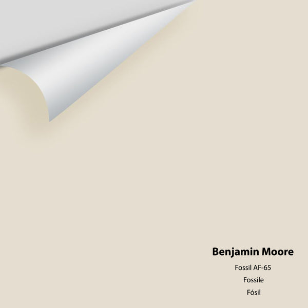 Benjamin Moore - Fossil AF-65 Colour Sample – Centerpoint Paint