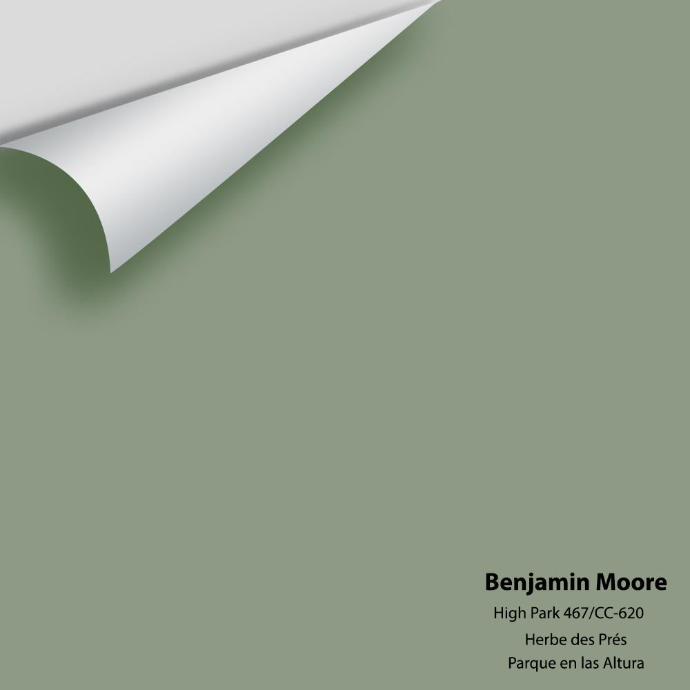 Paint Code 467b Benjamin Moore - High Park 467 / CC-620 Colour Sample – Centerpoint ...