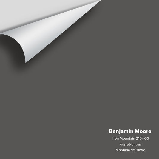 Benjamin Moore - Iron Mountain 2134-30 Colour Sample