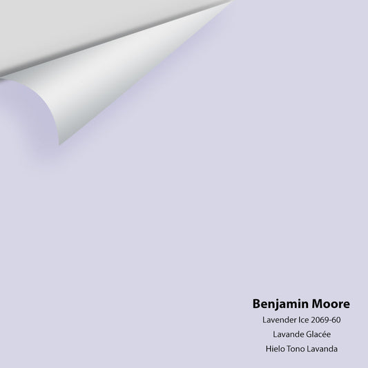 Big Paint Chip - Lavender Ice 2069-60