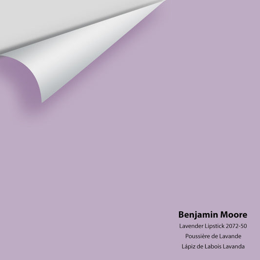Big Paint Chip - Lavender Lipstick 2072-50