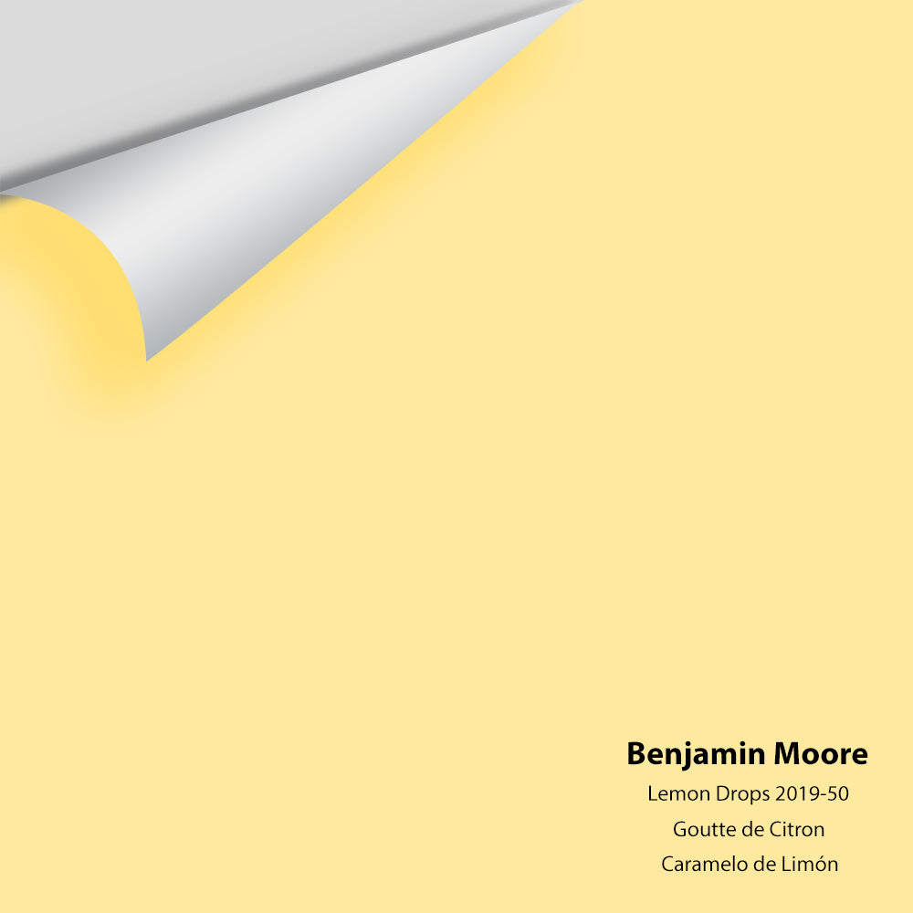 Big Paint Chip - Lemon Drops 2019-50