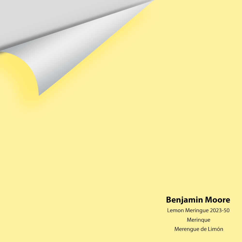 Big Paint Chip - Lemon Meringue 2023-50