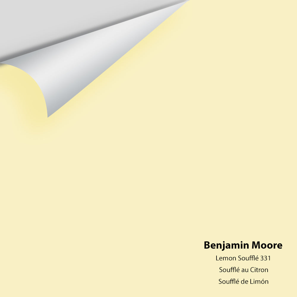 Big Paint Chip - Lemon Soufflé 331