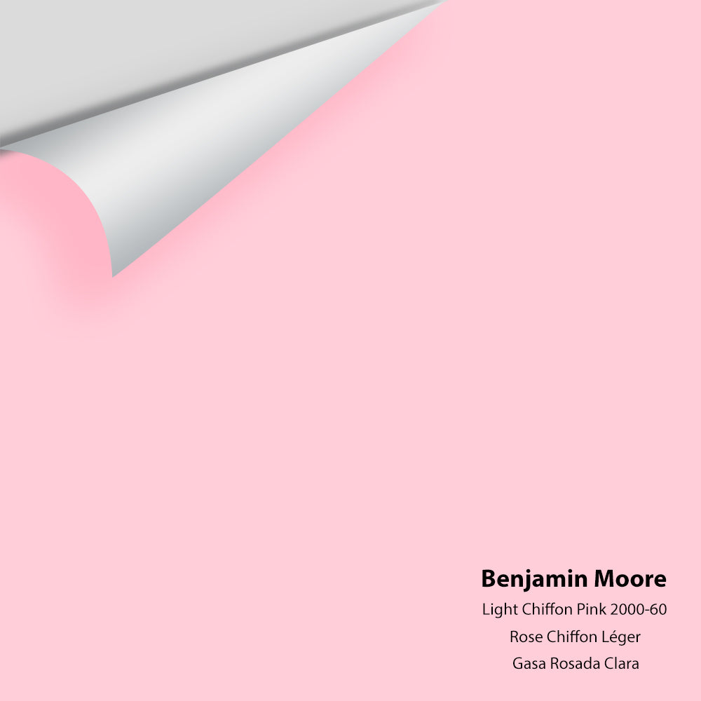 Big Paint Chip - Light Chiffon Pink 2000-60