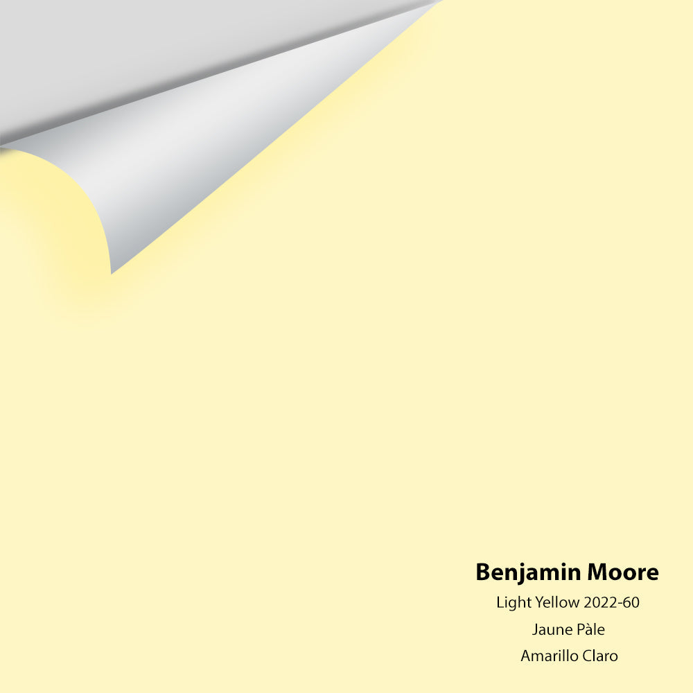 Big Paint Chip - Light Yellow 2022-60