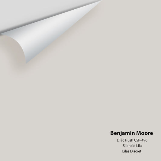 Benjamin Moore - Lilac Hush CSP-490 Colour Sample