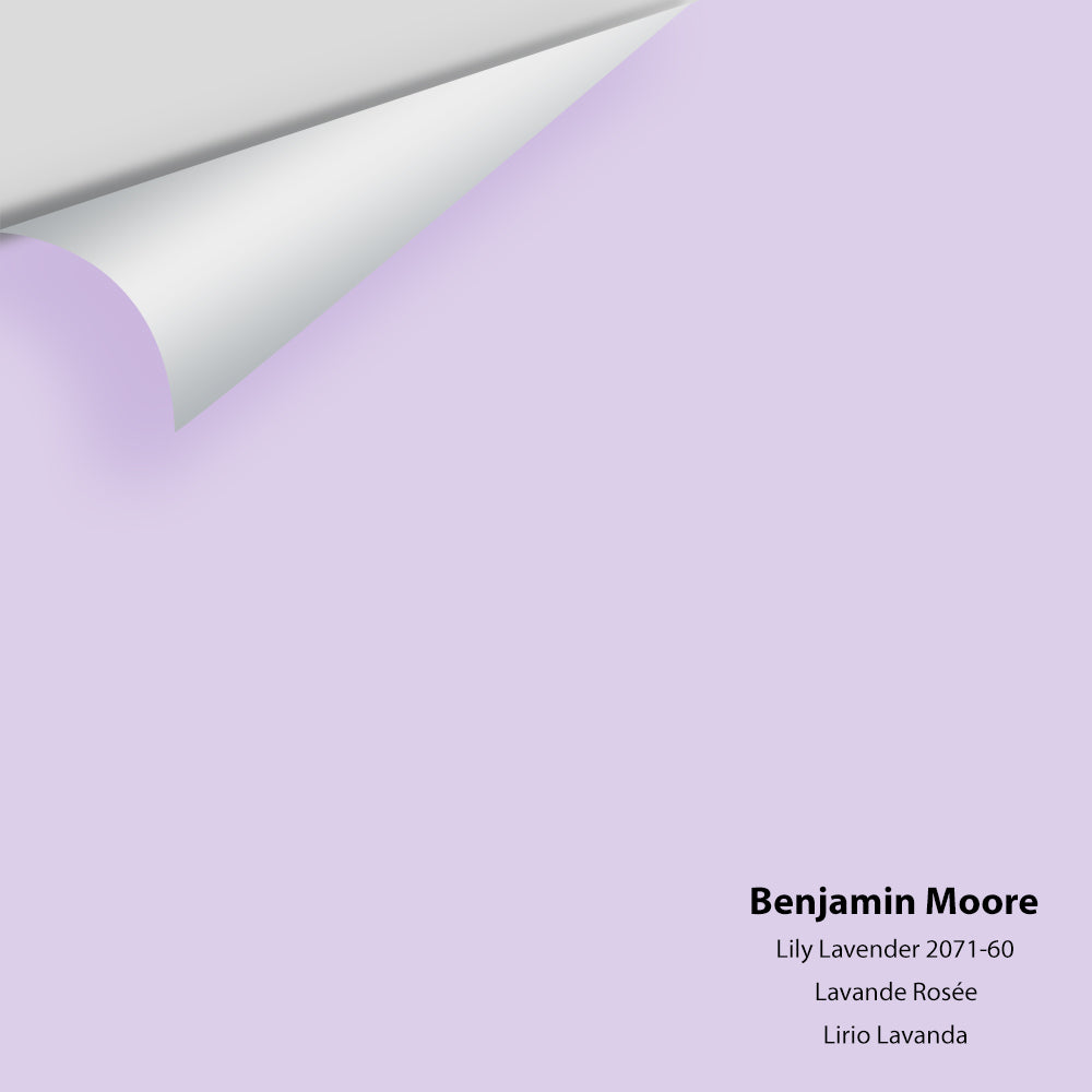 Big Paint Chip - Lily Lavender 2071-60