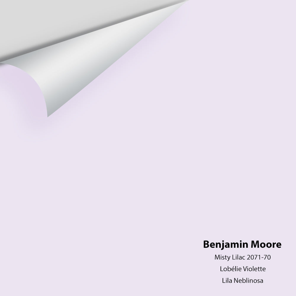 Big Paint Chip - Misty Lilac 2071-70