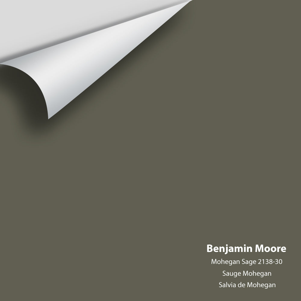 Big Paint Chip - Mohegan Sage 2138-30