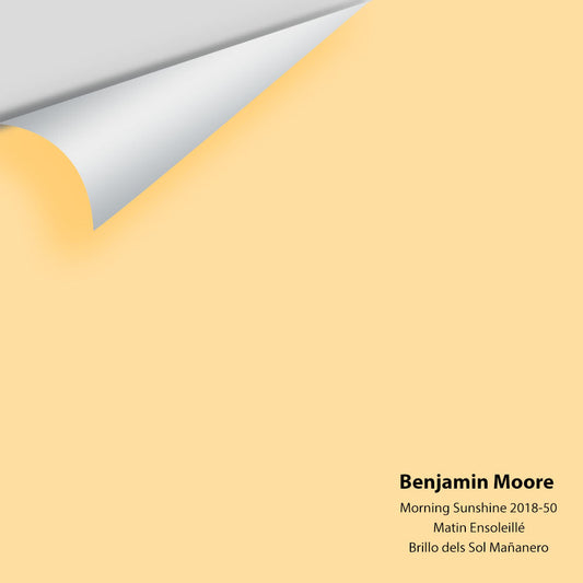 Big Paint Chip - Morning Sunshine 2018-50