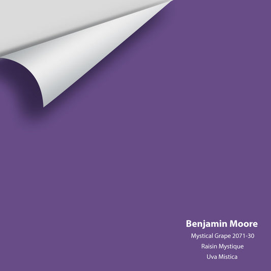 Big Paint Chip - Mystical Grape 2071-30