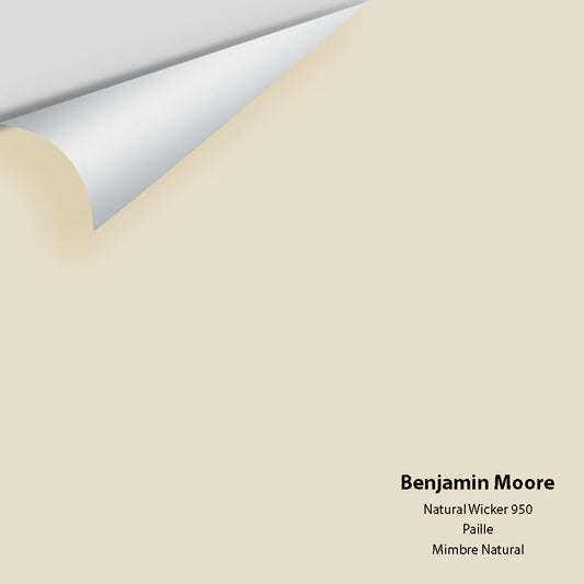Benjamin Moore - Natural Wicker 950 Colour Sample