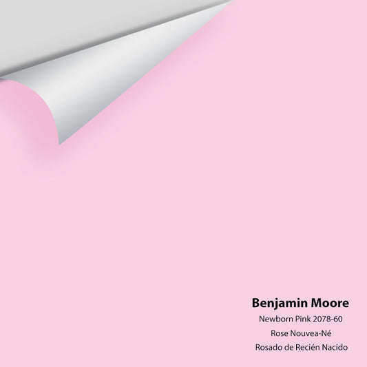 Big Paint Chip - Newborn Pink 2078-60