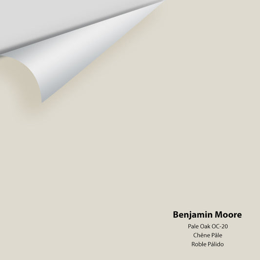 Benjamin Moore - Pale Oak OC-20 Colour Sample