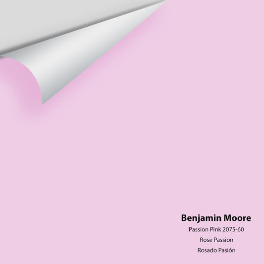 Big Paint Chip - Passion Pink 2075-60