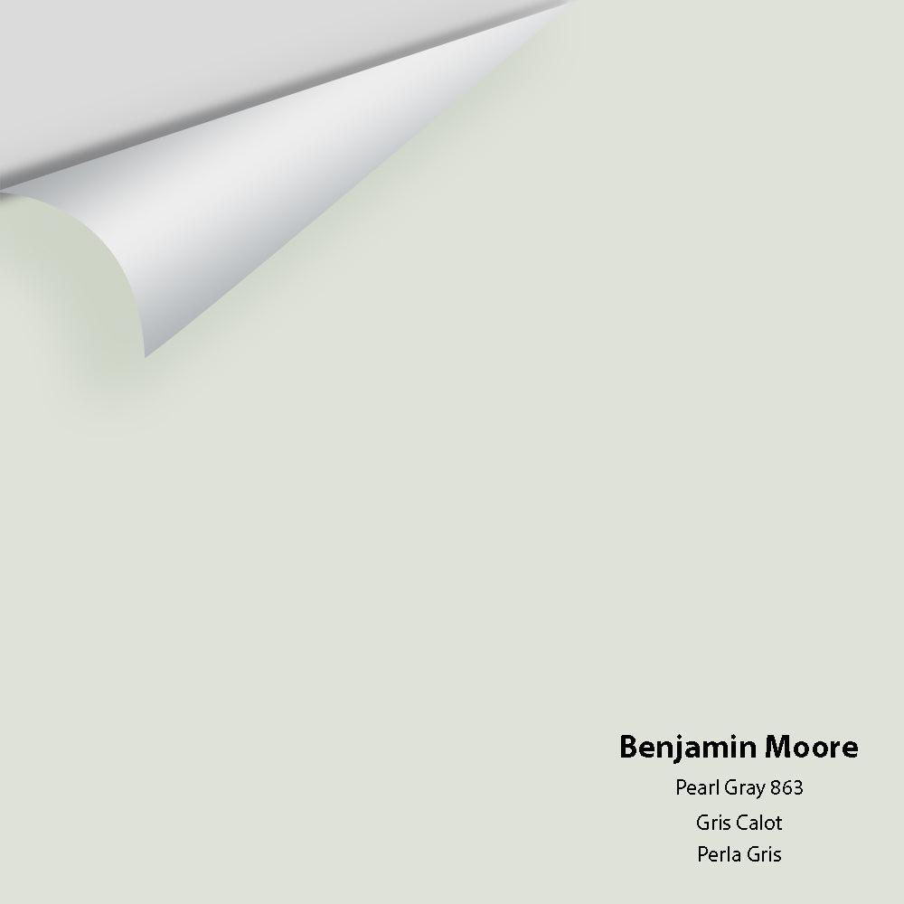 Big Paint Chip - Pearl Gray 863