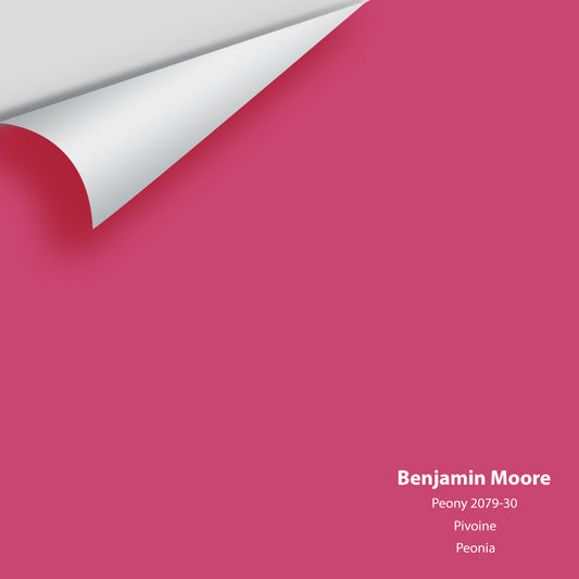 Big Paint Chip - Peony 2079-30