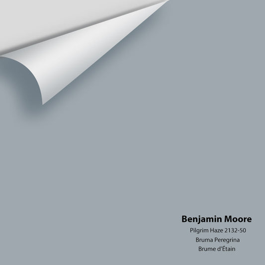 Big Paint Chip - Pilgrim Haze 2132-50 Colour Sample