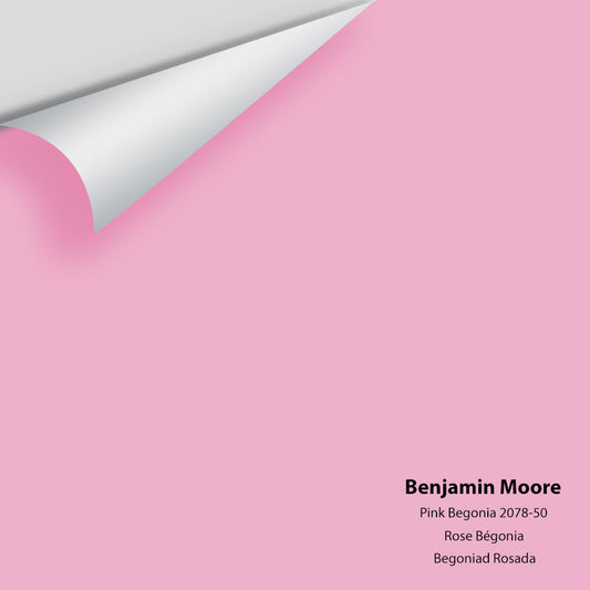 Big Paint Chip - Pink Begonia 2078-50