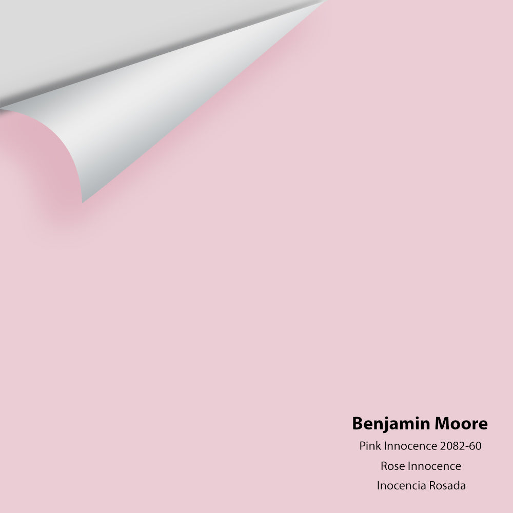 Big Paint Chip - Pink Innocence 2082-60 – Centerpoint Paint and Decorating