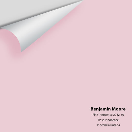 Big Paint Chip - Pink Innocence 2082-60