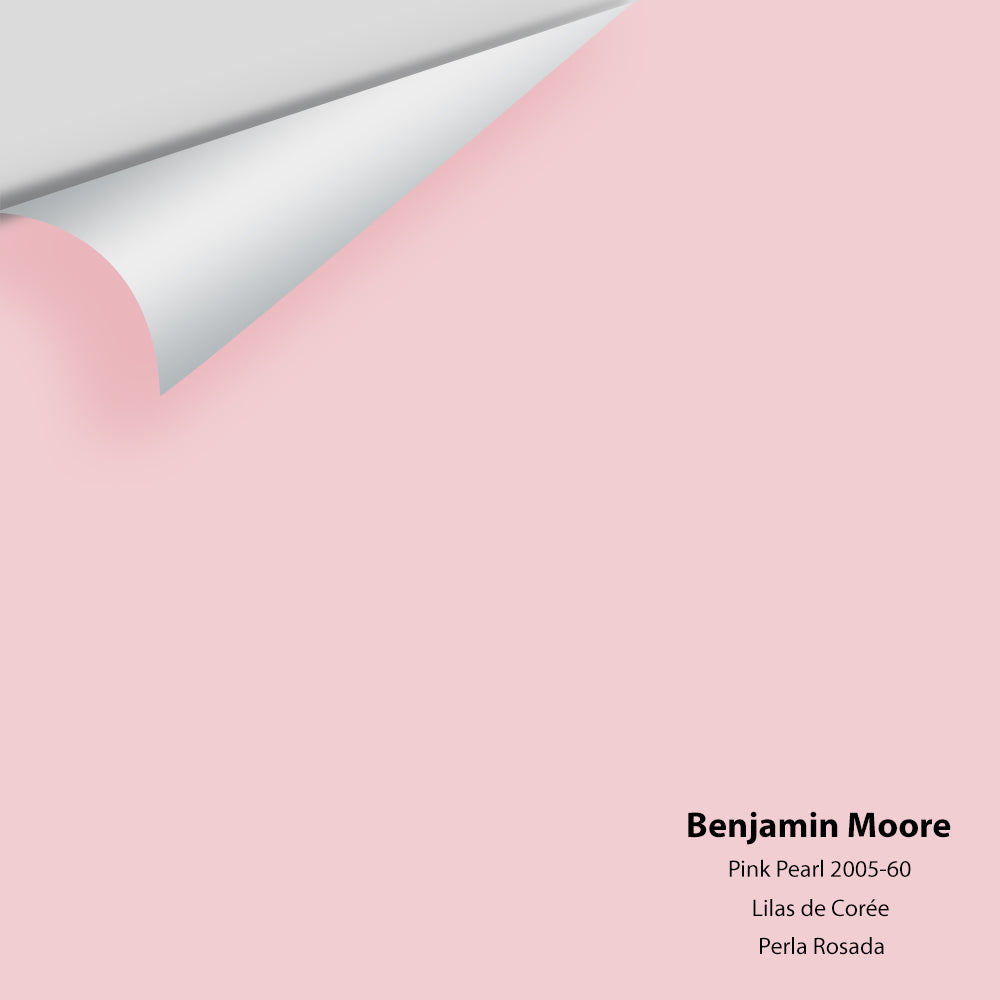 Big Paint Chip - Pink Pearl 2005-60