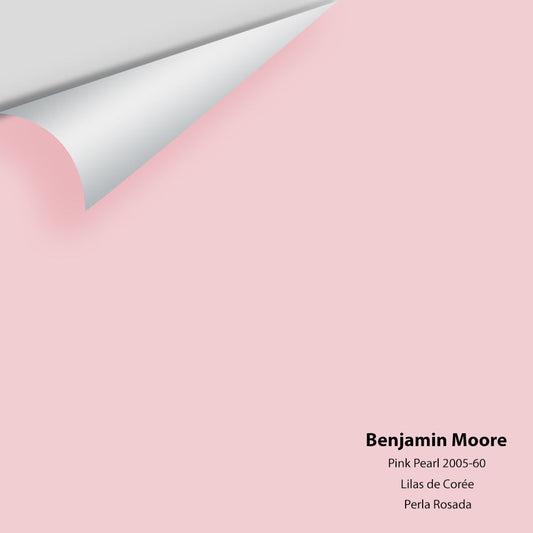 Big Paint Chip - Pink Pearl 2005-60
