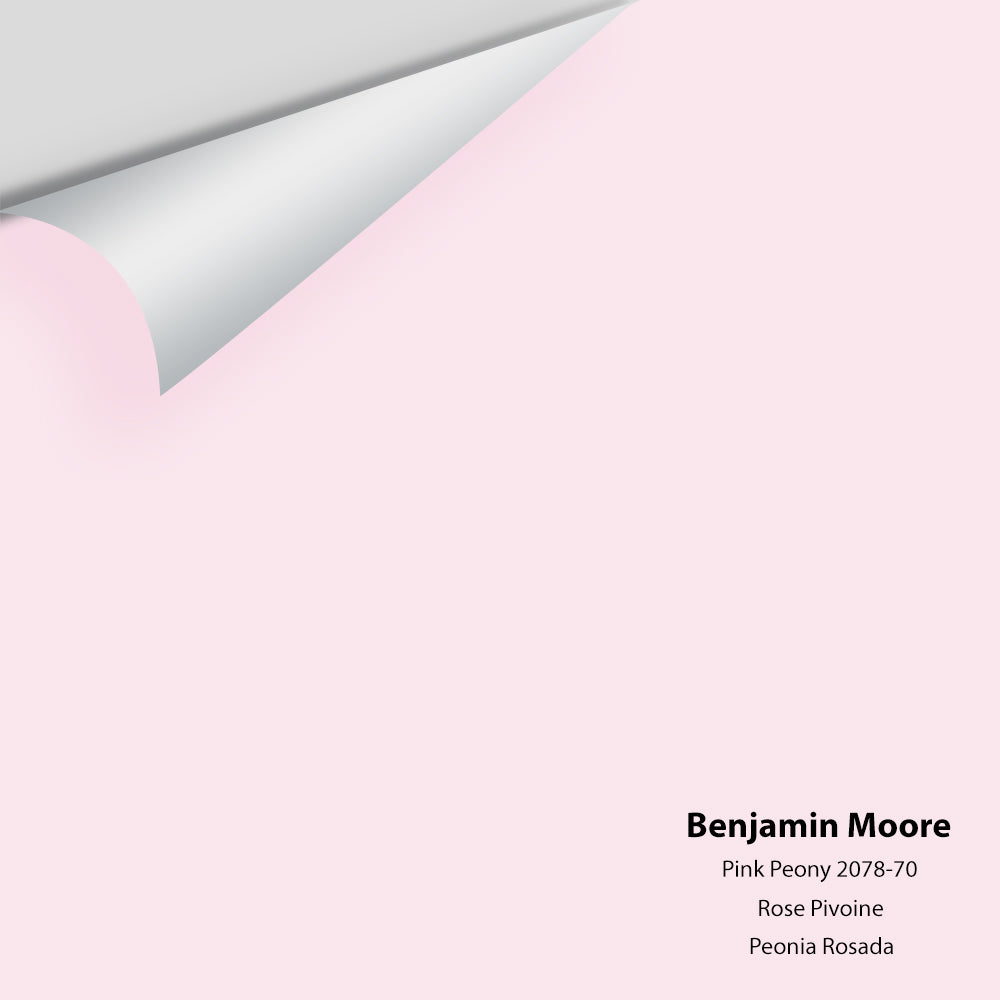 Big Paint Chip - Pink Peony 2078-70
