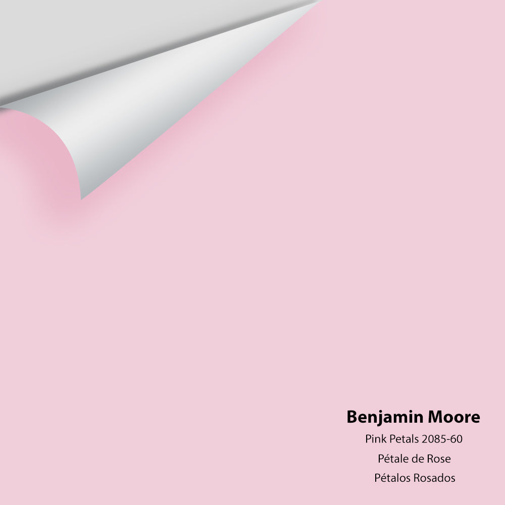 Big Paint Chip - Pink Petals 2085-60