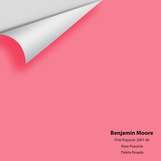 Big Paint Chip - Pink Popsicle 2001-40