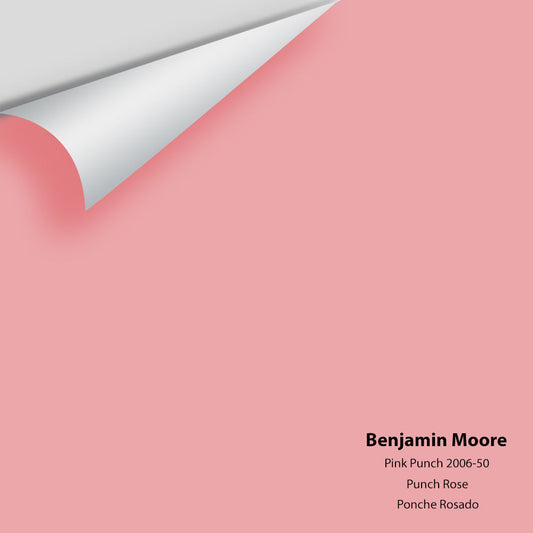 Big Paint Chip - Pink Punch 2006-50