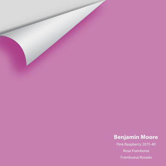 Big Paint Chip - Pink Raspberry 2075-40