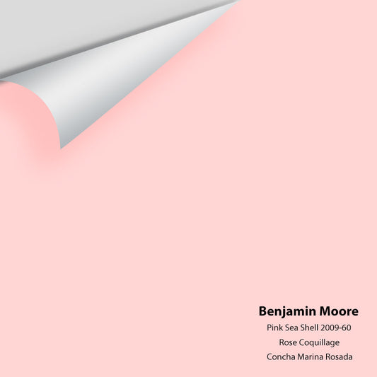 Big Paint Chip - Pink Sea Shell 2009-60