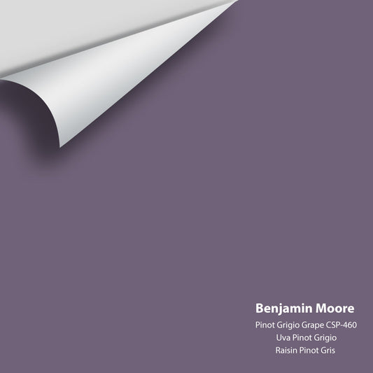 Big Paint Chip - Pinot Grigio Grape CSP-460