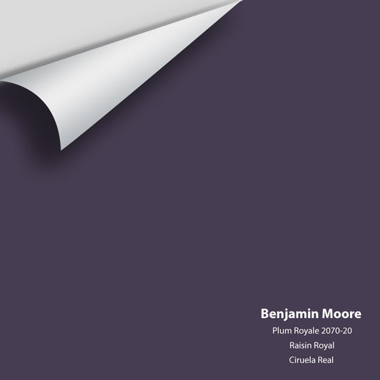 Big Paint Chip - Plum Royale 2070-20
