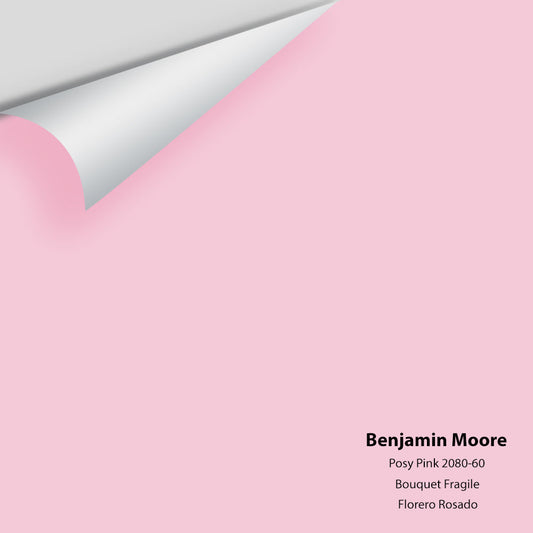 Big Paint Chip - Posy Pink 2080-60