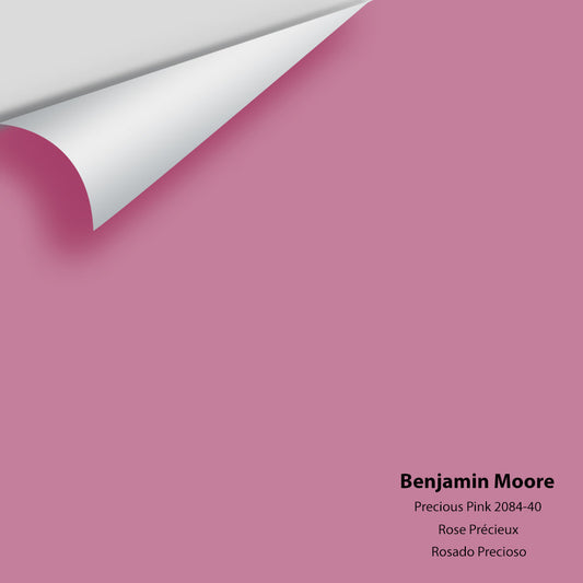 Big Paint Chip - Precious Pink 2084-40