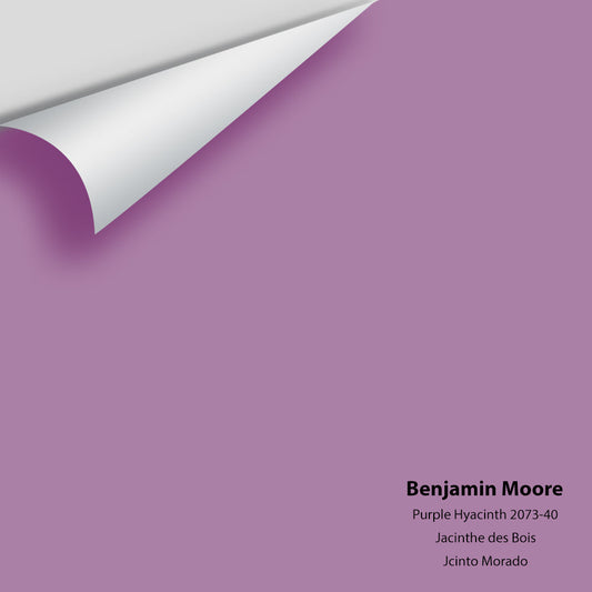 Big Paint Chip - Purple Hyacinth 2073-40