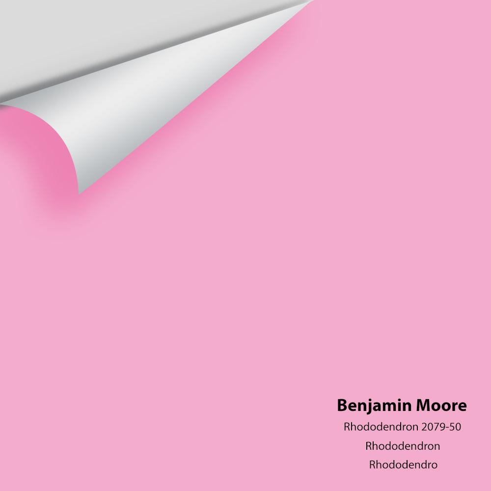 Big Paint Chip - Rhododendron 2079-50