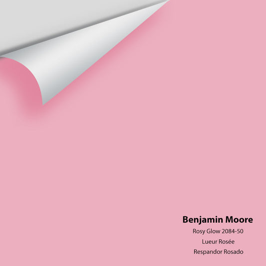 Big Paint Chip - Rosy Glow 2084-50