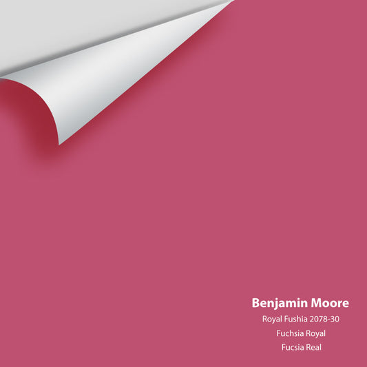 Big Paint Chip - Royal Fuchsia 2078-30