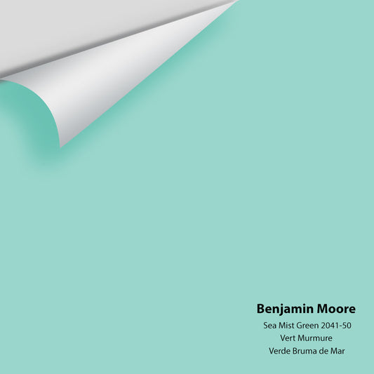 Big Paint Chip - Sea Mist Green 2041-50