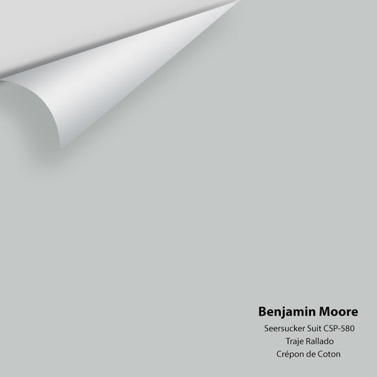 Benjamin Moore - Seersucker Suit CSP-580 Colour Sample