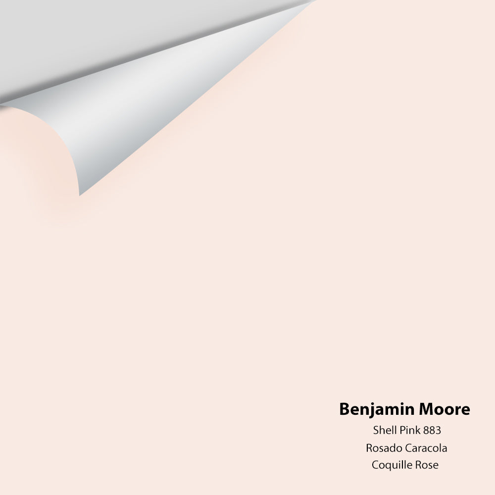 Big Paint Chip - Shell Pink 883