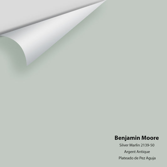 Big Paint Chip - Silver Marlin 2139-50