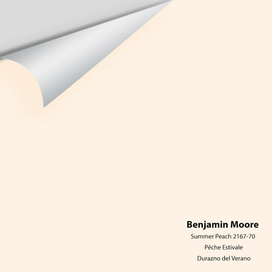 Big Paint Chip - Summer Peach 2167-70