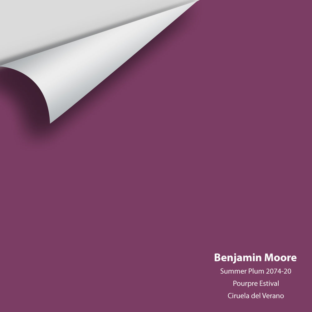 Big Paint Chip - Summer Plum 2074-20